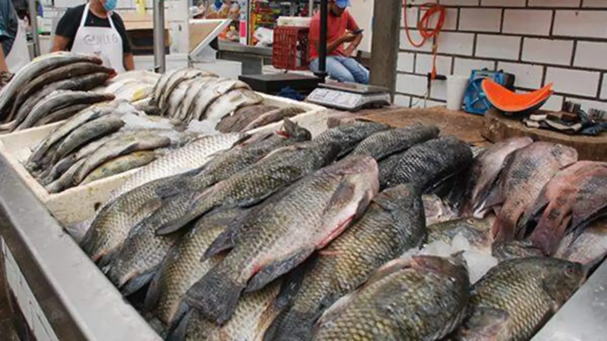 Pescados copia